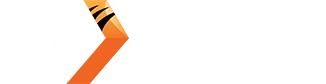 โลโก้ค่ายเกม Nextspin ที่ U31 เว็บตรง